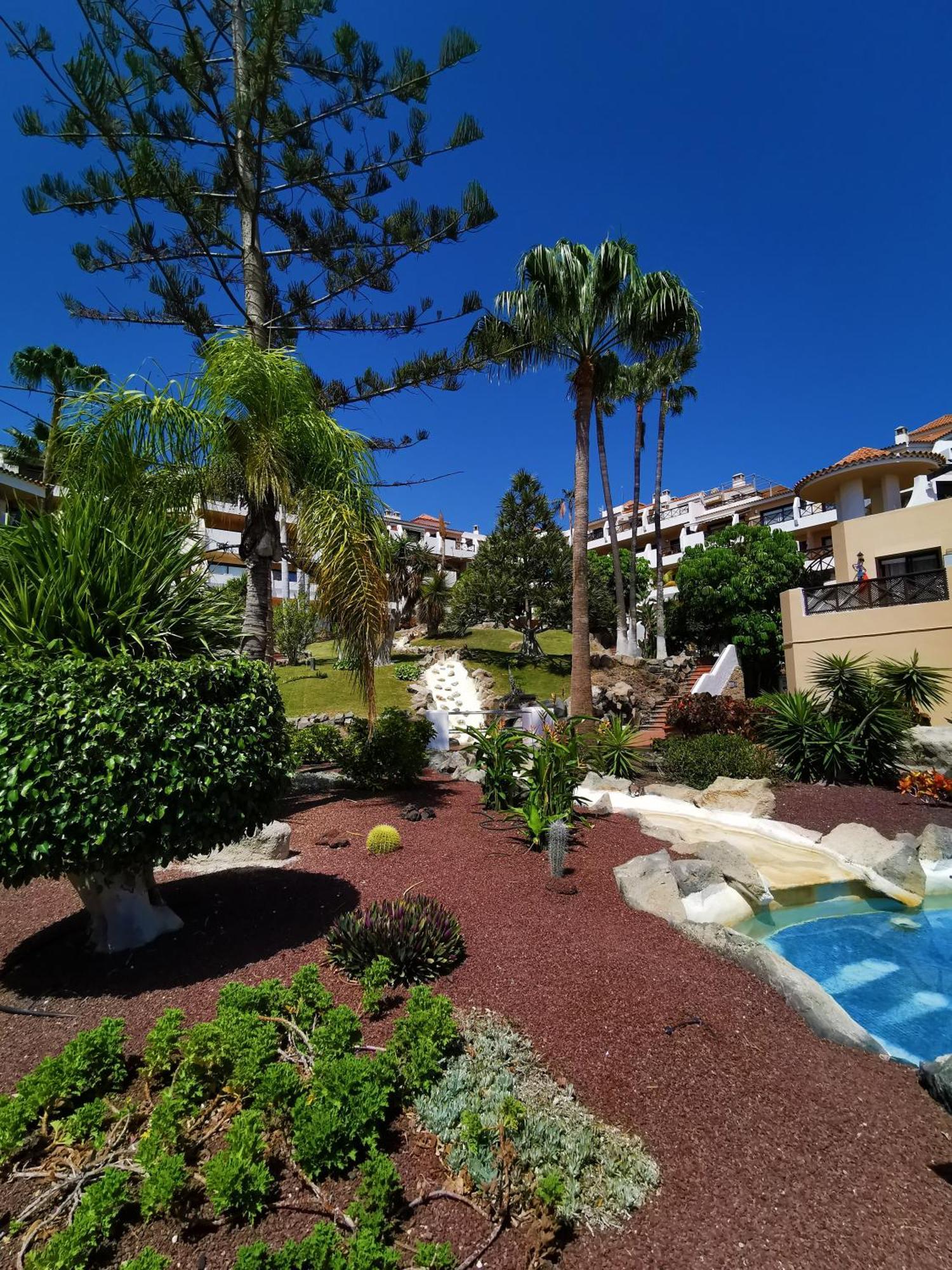 Strelitzia Apartment - Ocean View & Heated Pool 산미겔데아보나 외부 사진